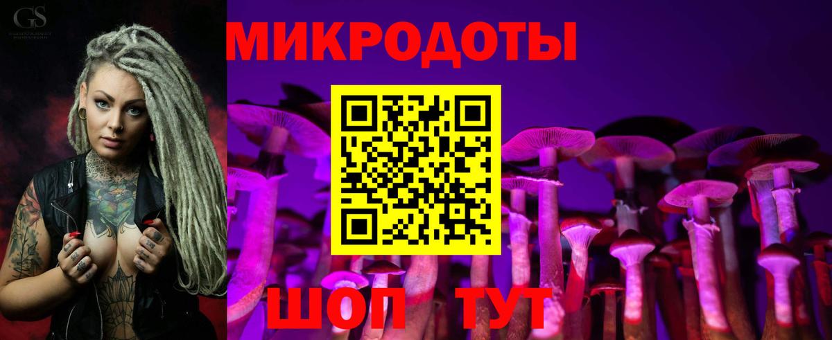 Псилоцибиновые грибы прущие грибы  Псилоцибиновые грибы GOLDEN TEACHER  Вход с VPN  Будённовск 